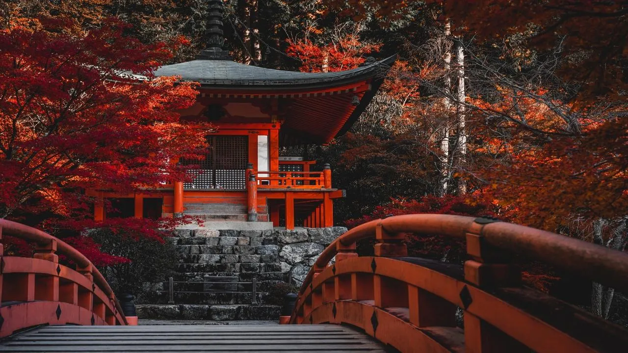 Ultimate Guide Kyoto 23 Best things to do