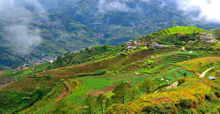 Ultimate Guide Baguio 28 Best things to do