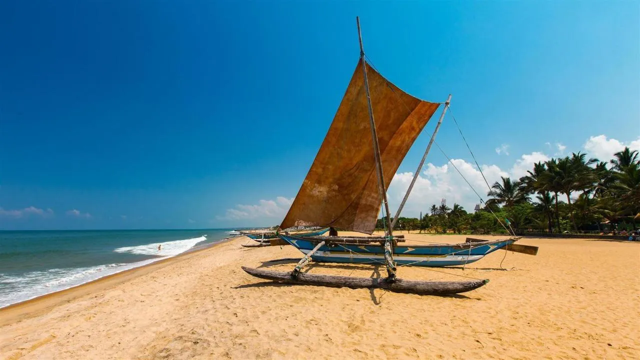 Ultimate Guide Negombo 20 Best things to do