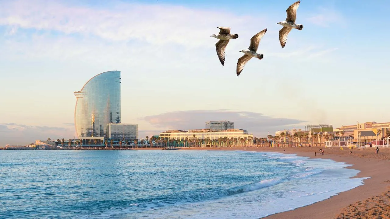 What to do in Barcelona in October 2024