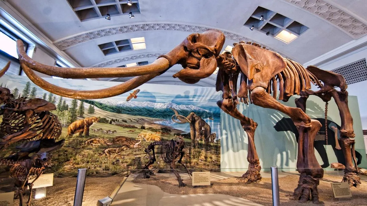 What To Do In Denver In June 2024 Guides2Travel   Denver Museum Of Nature Science Denver June 1.webp