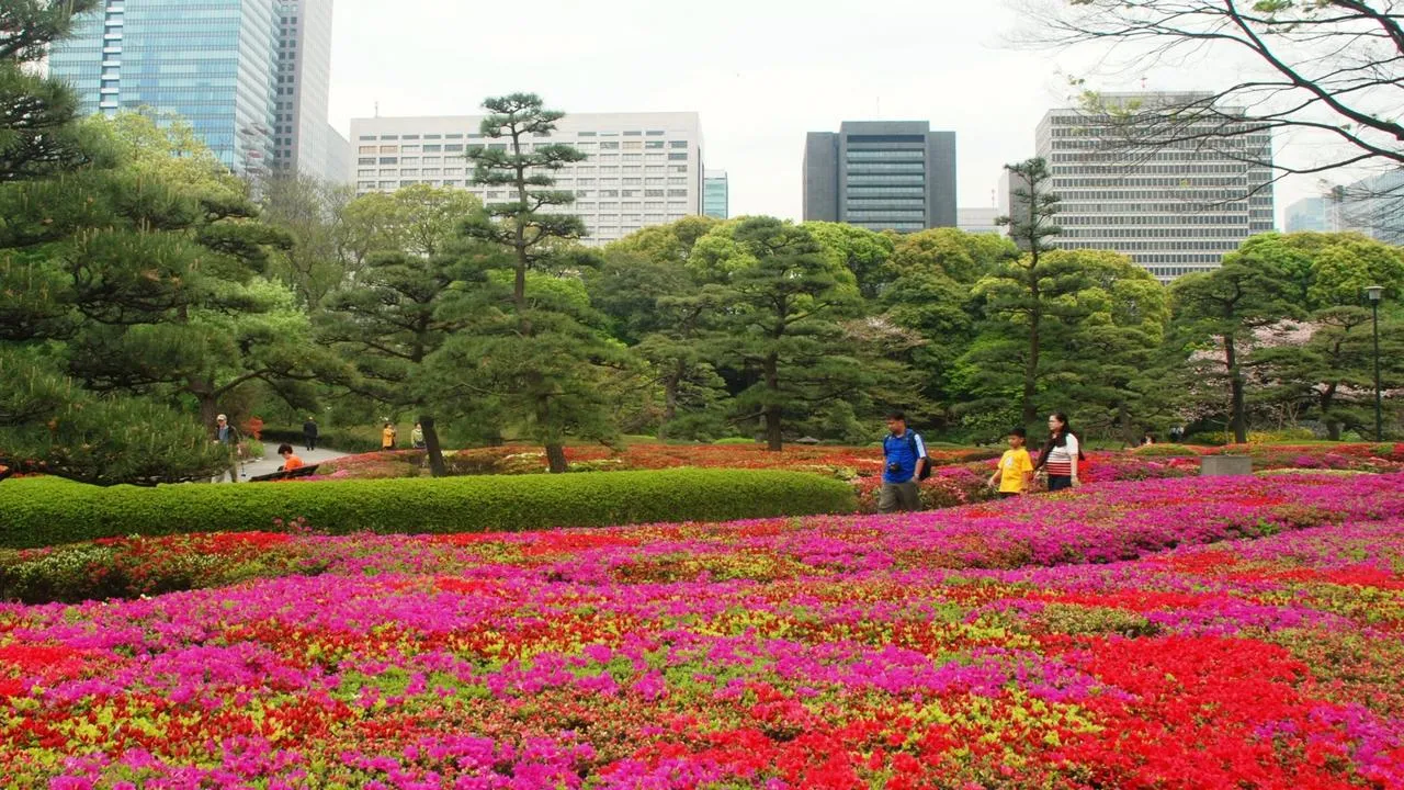 What to do in Tokyo in November 2024