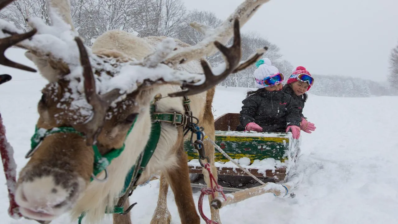 What to do in Niseko in December 2024