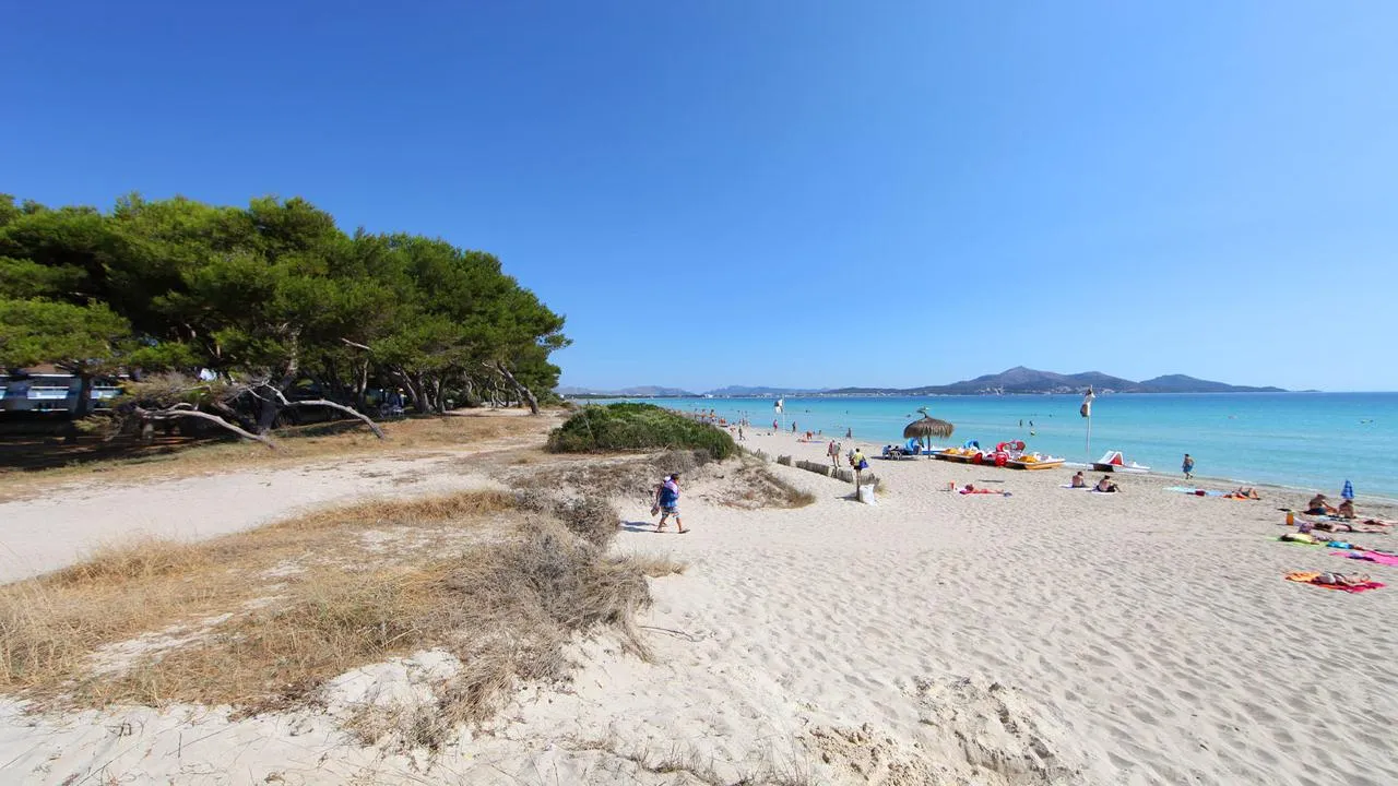 What to do in Alcudia in October 2024