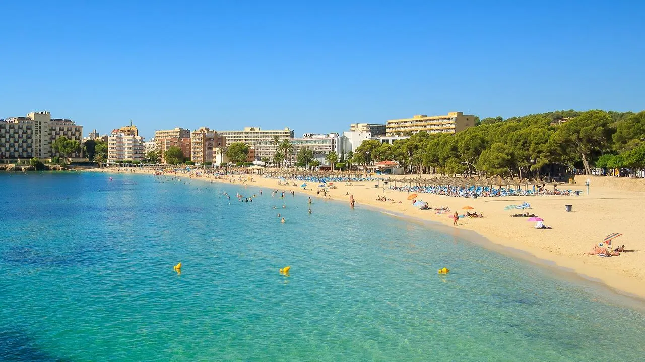 What to do in Palma De Mallorca in December 2024