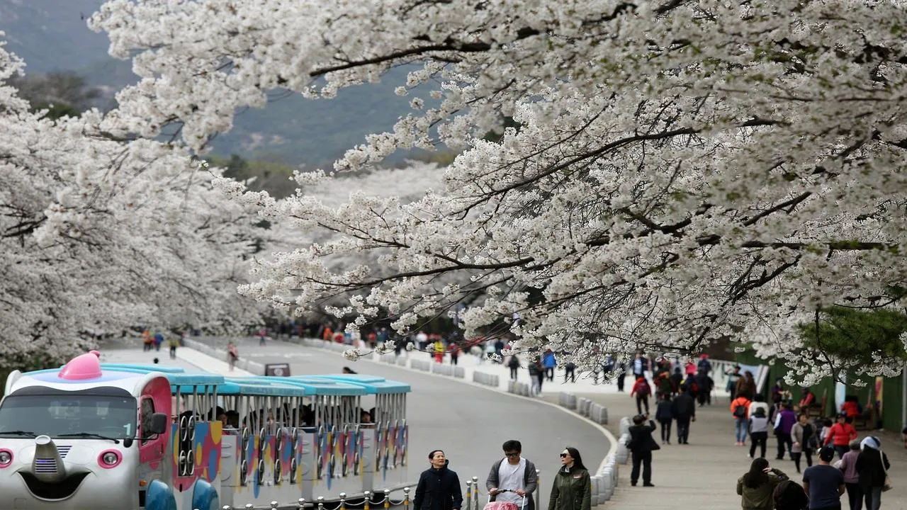 What to do in Seoul in April 2024