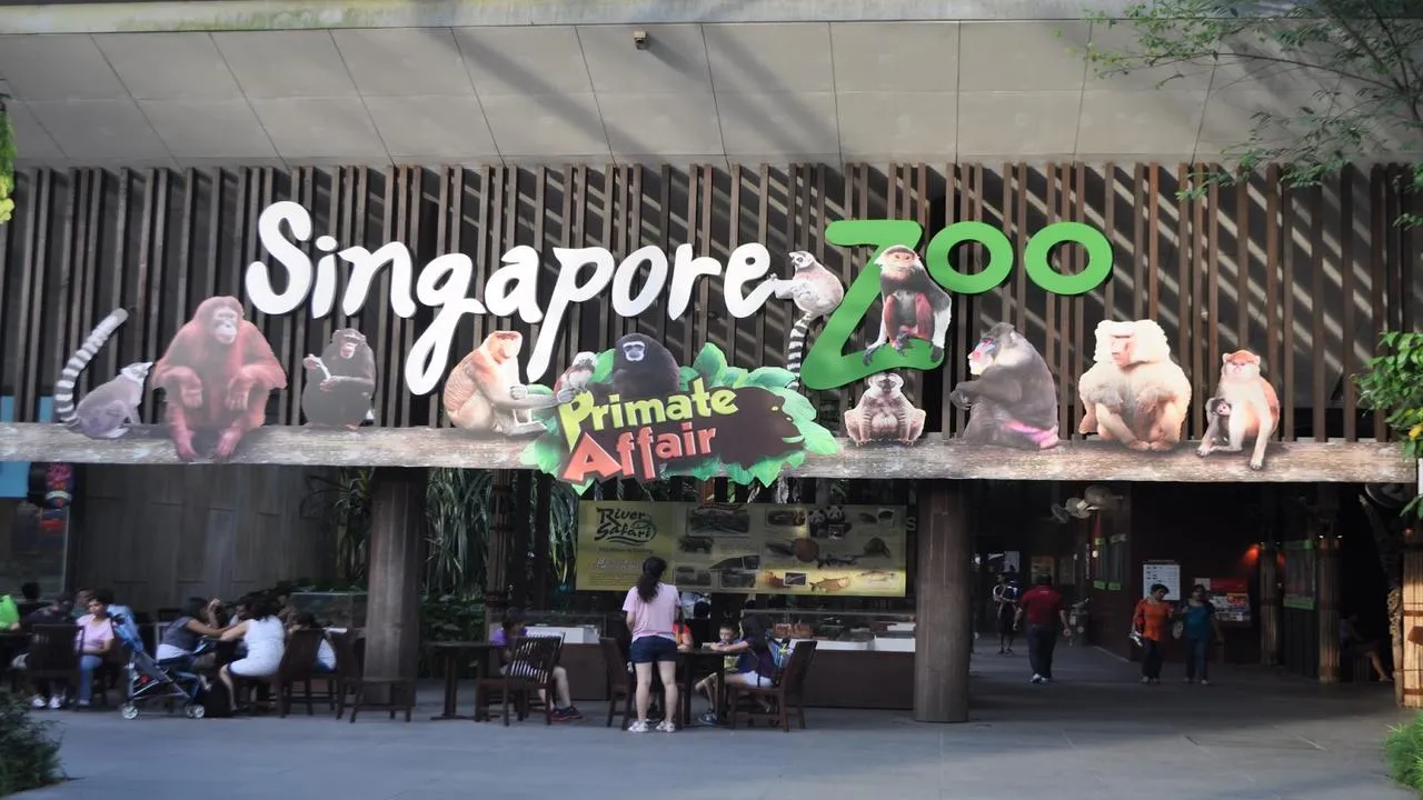 What to do in Singapore in November 2024