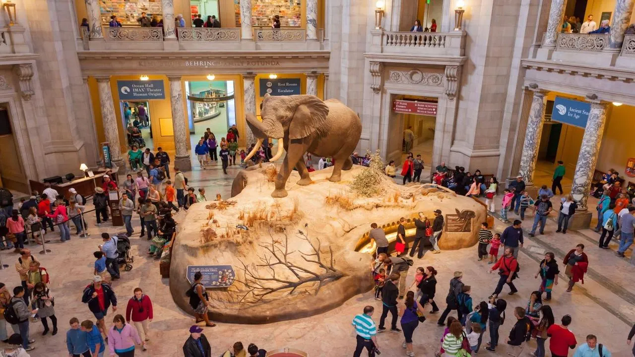 What To Do In Washington In November 2024 Guides2Travel   Smithsonian National Zoo Washington November 1.webp