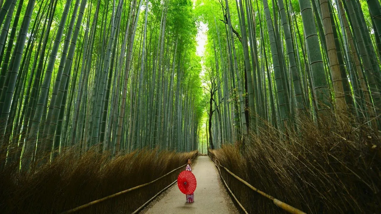 What to do in Kyoto in July 2024