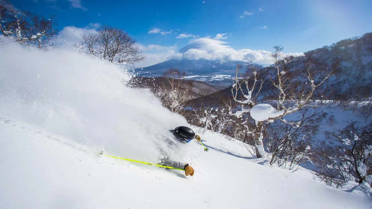 What to do in Niseko in February 2024
