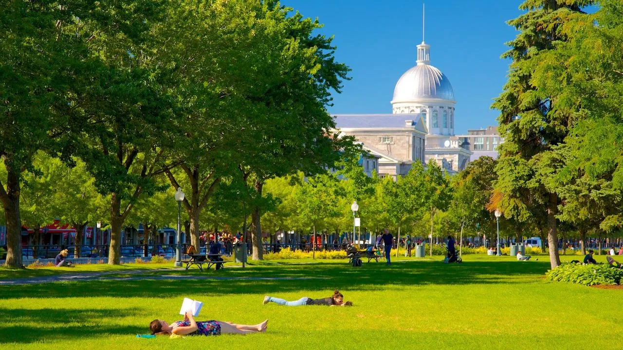What to do in Montreal in September 2024